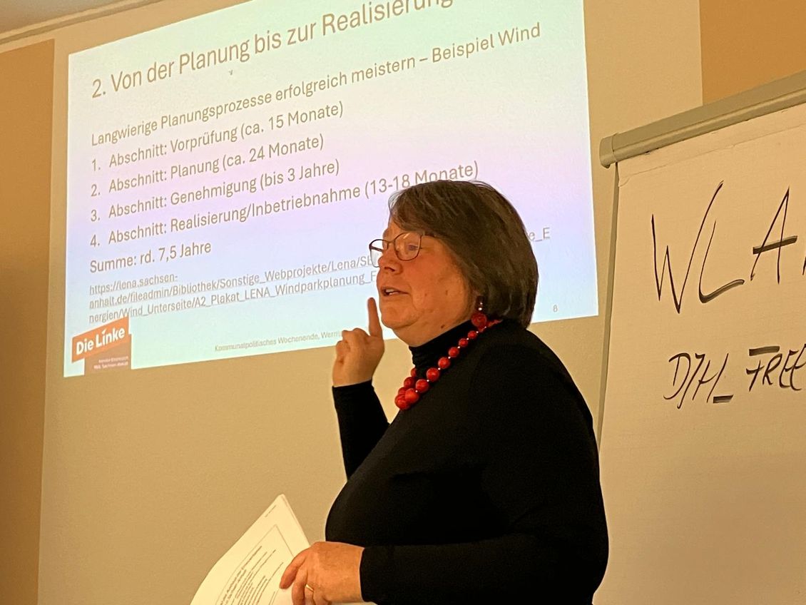 Kerstin Eisenreich zur Energiewende